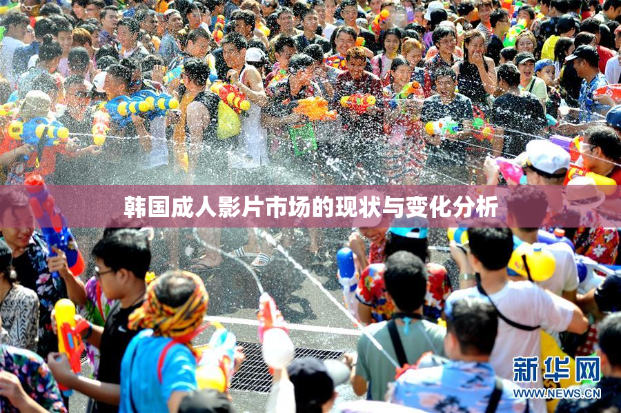 韩国成人影片市场的现状与变化分析