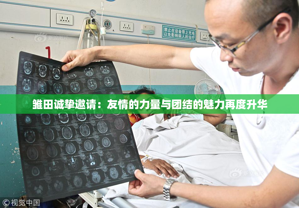 雏田诚挚邀请：友情的力量与团结的魅力再度升华