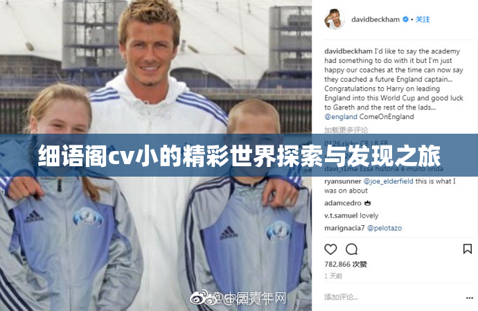 细语阁cv小的精彩世界探索与发现之旅