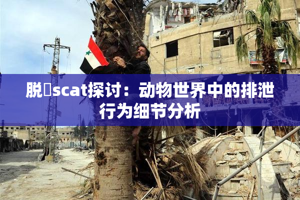 脱糞scat探讨：动物世界中的排泄行为细节分析