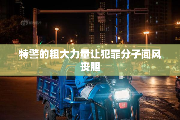 特警的粗大力量让犯罪分子闻风丧胆