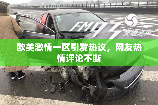 欧美激情一区引发热议，网友热情评论不断
