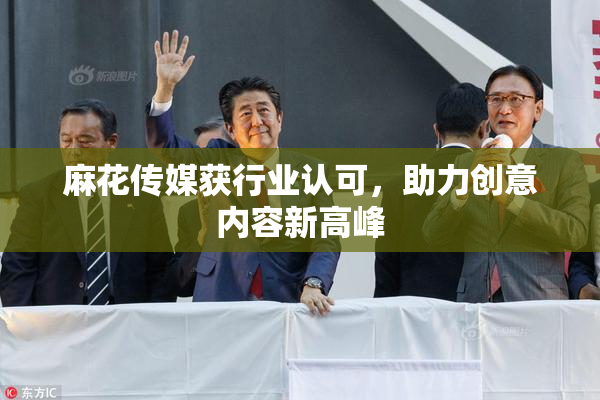 麻花传媒获行业认可，助力创意内容新高峰