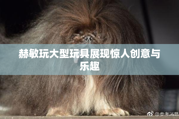 赫敏玩大型玩具展现惊人创意与乐趣
