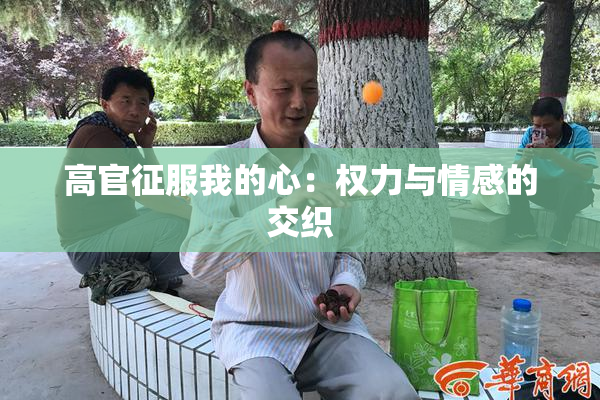 高官征服我的心：权力与情感的交织