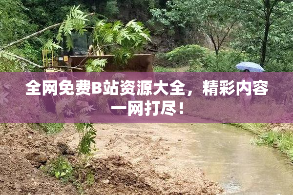 全网免费B站资源大全，精彩内容一网打尽！
