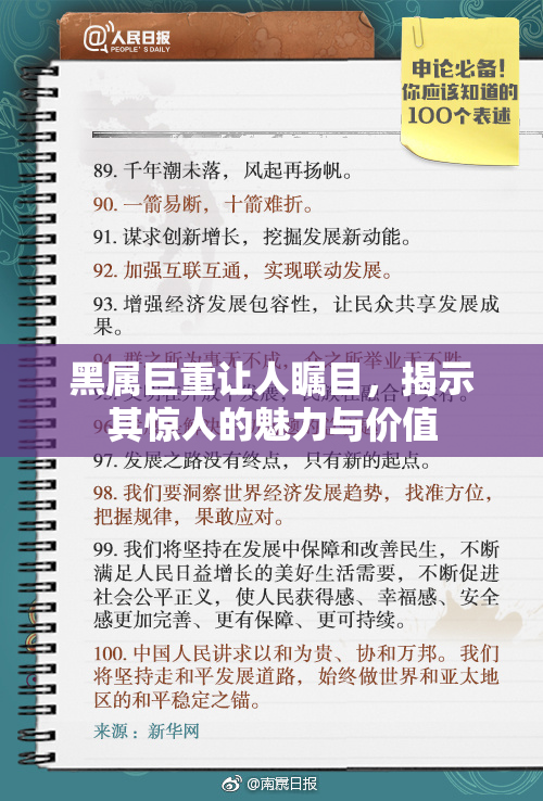 黑属巨重让人瞩目，揭示其惊人的魅力与价值