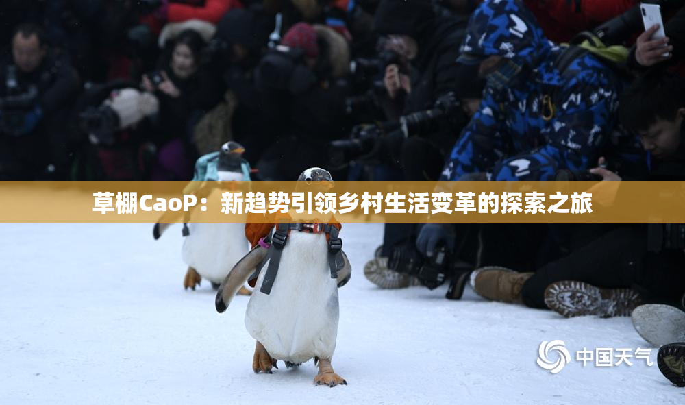 草棚CaoP：新趋势引领乡村生活变革的探索之旅