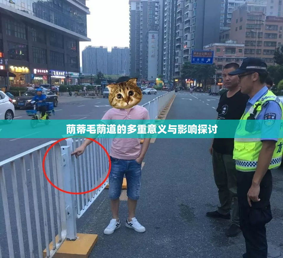 荫蒂毛荫道的多重意义与影响探讨