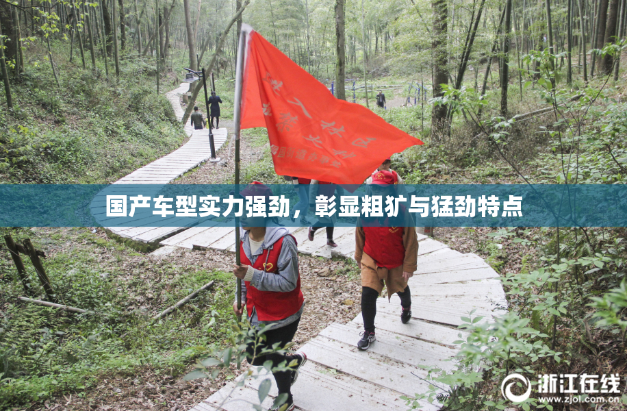 国产车型实力强劲，彰显粗犷与猛劲特点