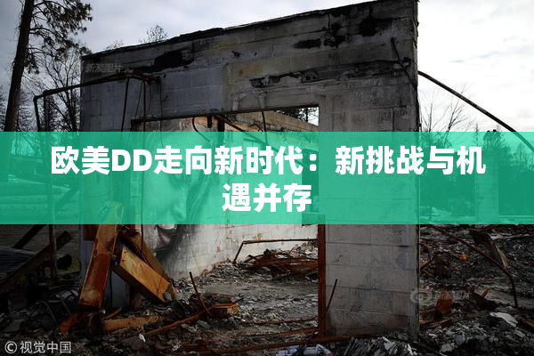 欧美DD走向新时代：新挑战与机遇并存