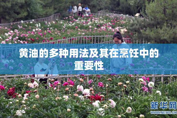 黄油的多种用法及其在烹饪中的重要性