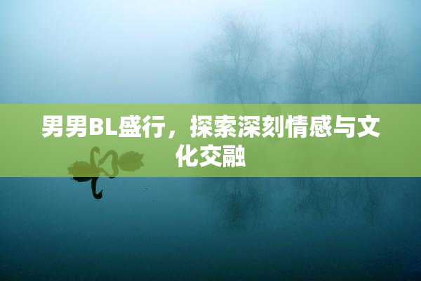 男男BL盛行，探索深刻情感与文化交融