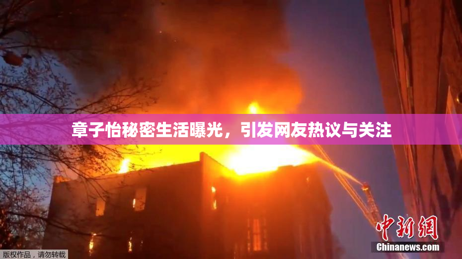章子怡秘密生活曝光，引发网友热议与关注