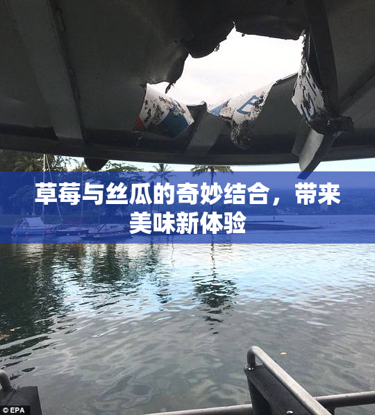 草莓与丝瓜的奇妙结合，带来美味新体验