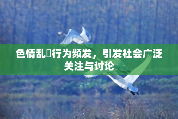 色情乱婬行为频发，引发社会广泛关注与讨论