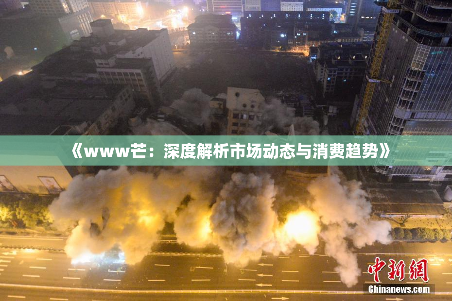 《www芒：深度解析市场动态与消费趋势》
