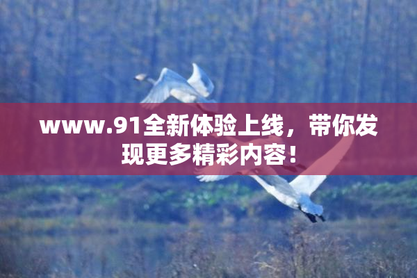 www.91全新体验上线，带你发现更多精彩内容！