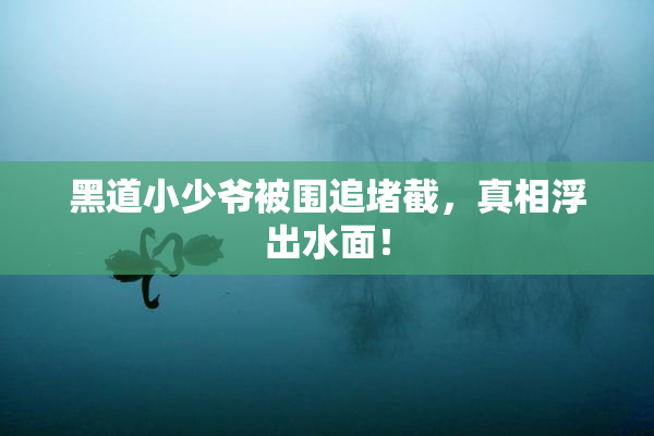 黑道小少爷被围追堵截，真相浮出水面！