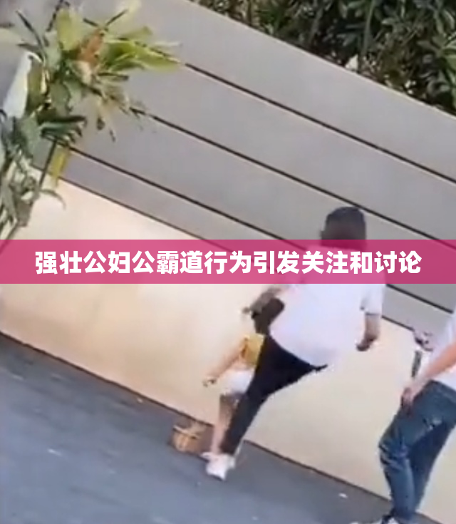 强壮公妇公霸道行为引发关注和讨论