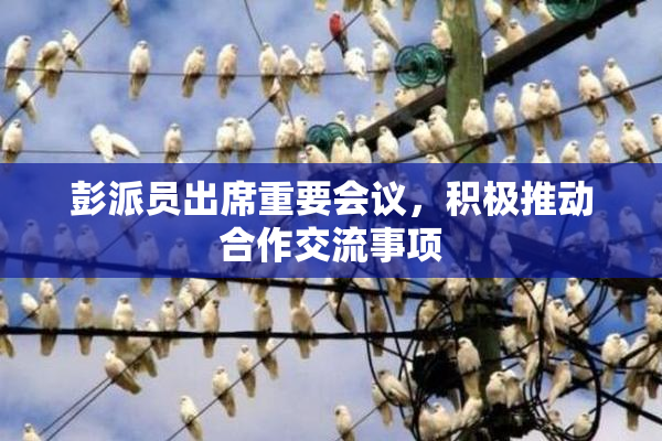 彭派员出席重要会议，积极推动合作交流事项