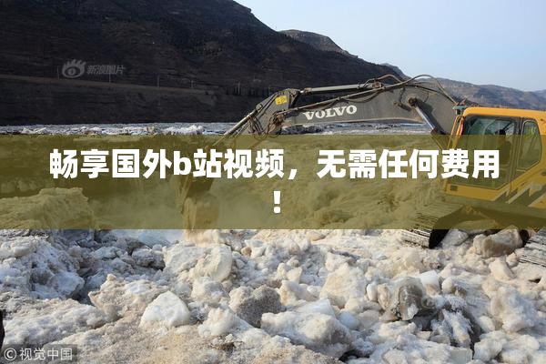 畅享国外b站视频，无需任何费用！