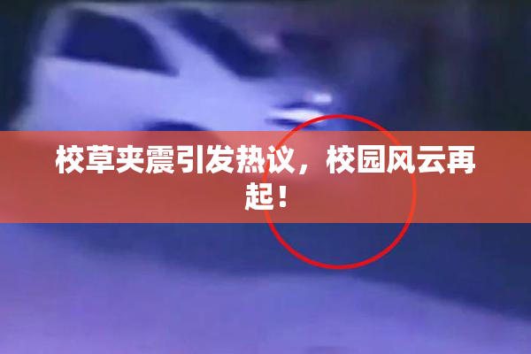 校草夹震引发热议，校园风云再起！