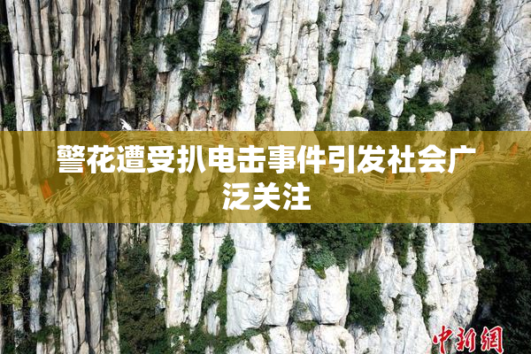警花遭受扒电击事件引发社会广泛关注