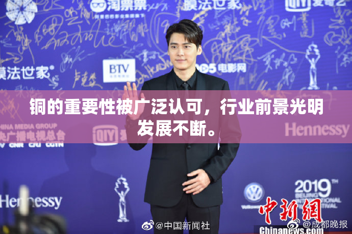 铜的重要性被广泛认可，行业前景光明发展不断。