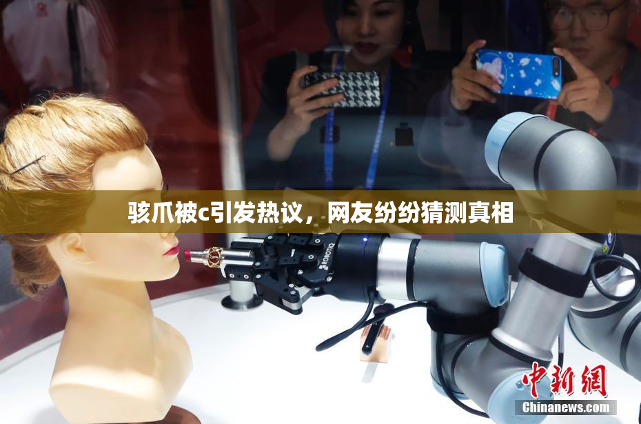 骇爪被c引发热议，网友纷纷猜测真相