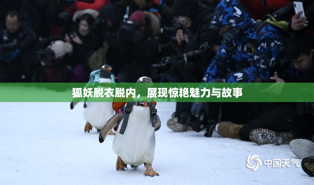狐妖脱衣脱内，展现惊艳魅力与故事
