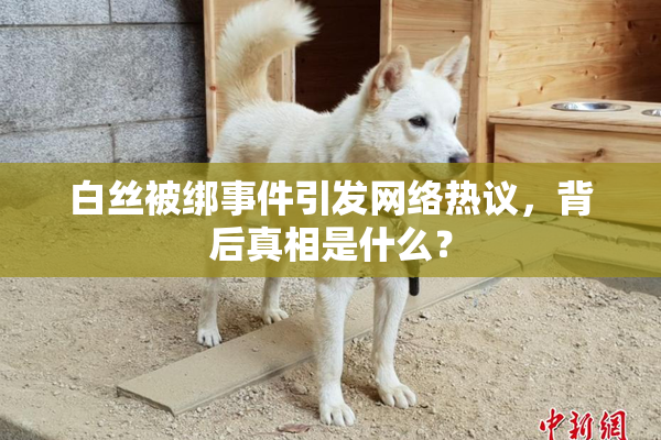 白丝被绑事件引发网络热议，背后真相是什么？