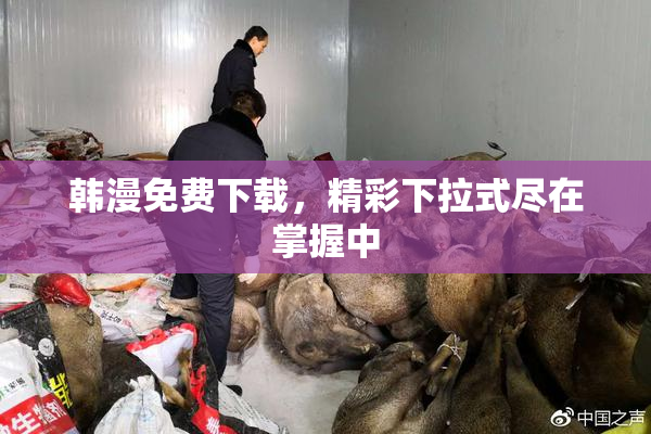 韩漫免费下载，精彩下拉式尽在掌握中