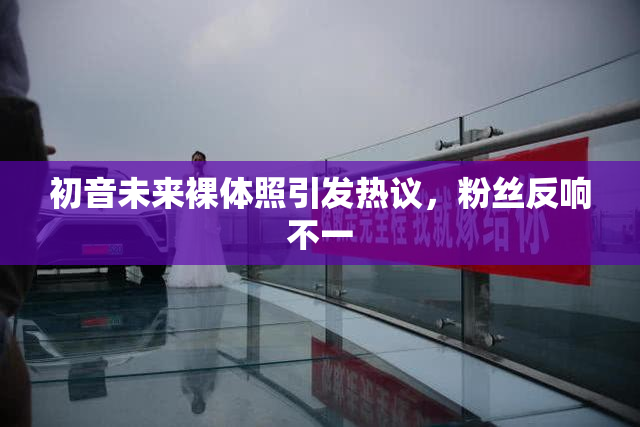 初音未来裸体照引发热议，粉丝反响不一
