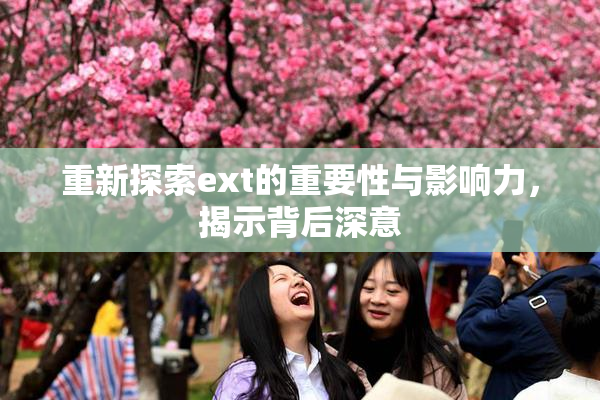 重新探索ext的重要性与影响力，揭示背后深意