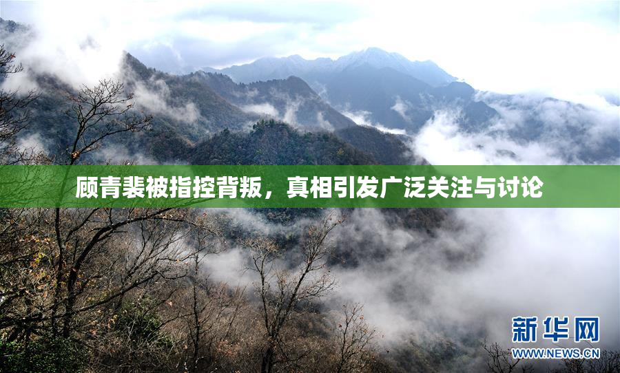 顾青裴被指控背叛，真相引发广泛关注与讨论