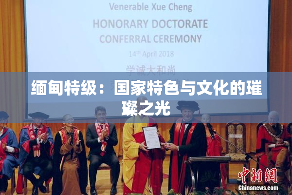 缅甸特级：国家特色与文化的璀璨之光