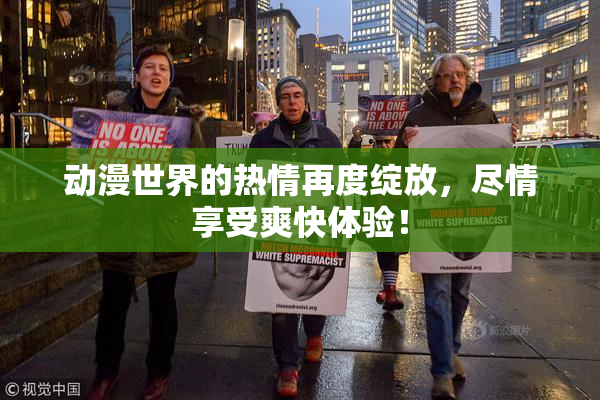 动漫世界的热情再度绽放，尽情享受爽快体验！