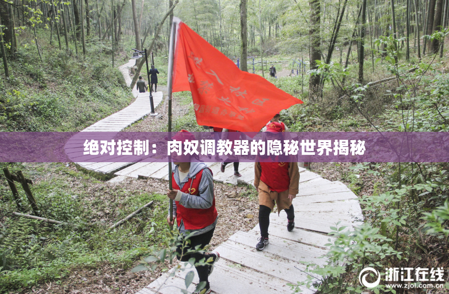 绝对控制：肉奴调教器的隐秘世界揭秘