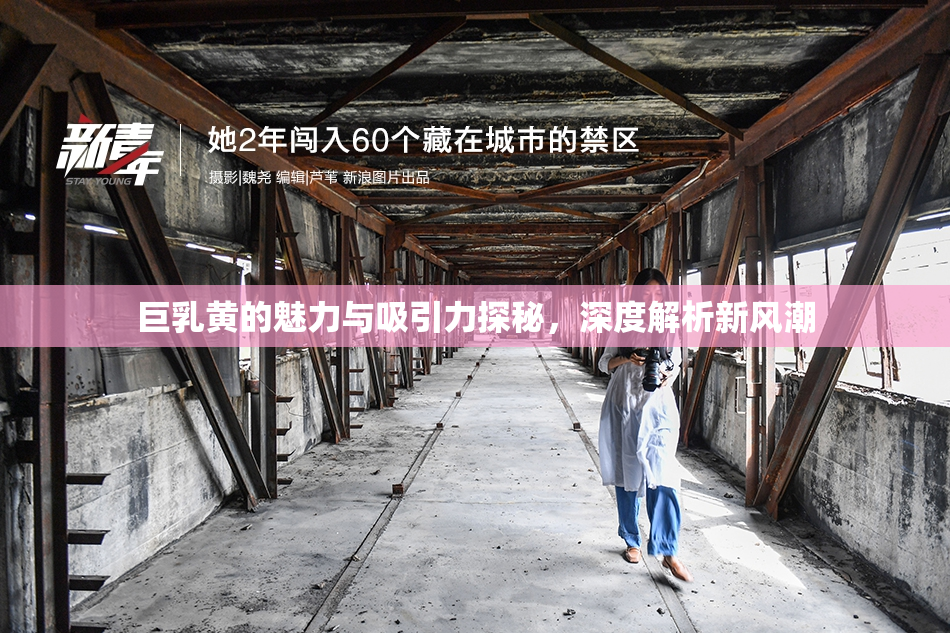 巨乳黄的魅力与吸引力探秘，深度解析新风潮