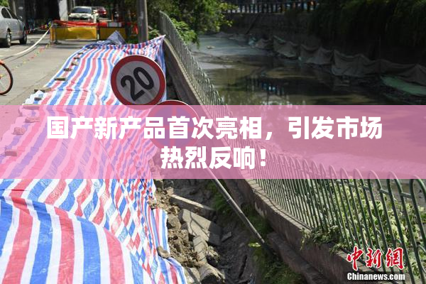 国产新产品首次亮相，引发市场热烈反响！