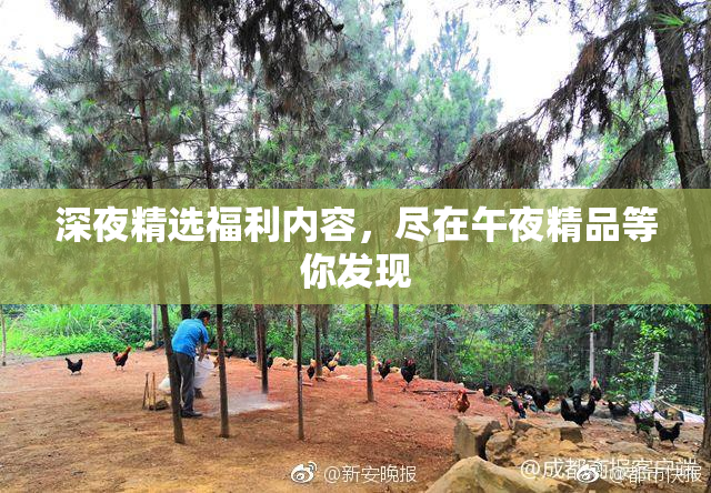 深夜精选福利内容，尽在午夜精品等你发现
