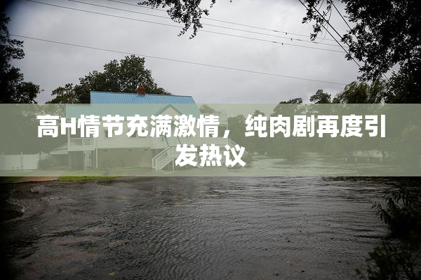 高H情节充满激情，纯肉剧再度引发热议