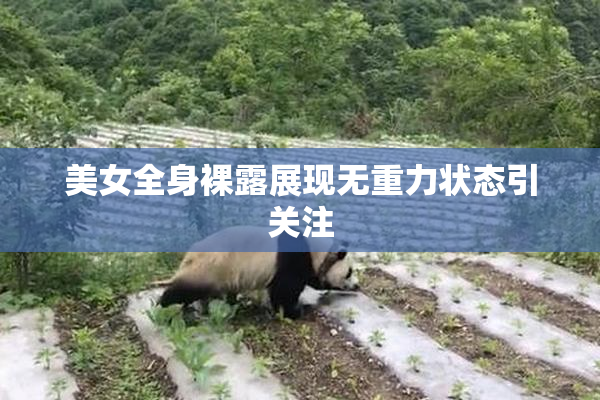 美女全身裸露展现无重力状态引关注