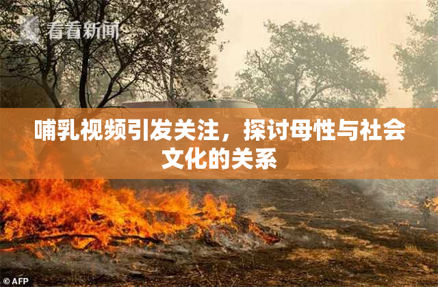 哺乳视频引发关注，探讨母性与社会文化的关系