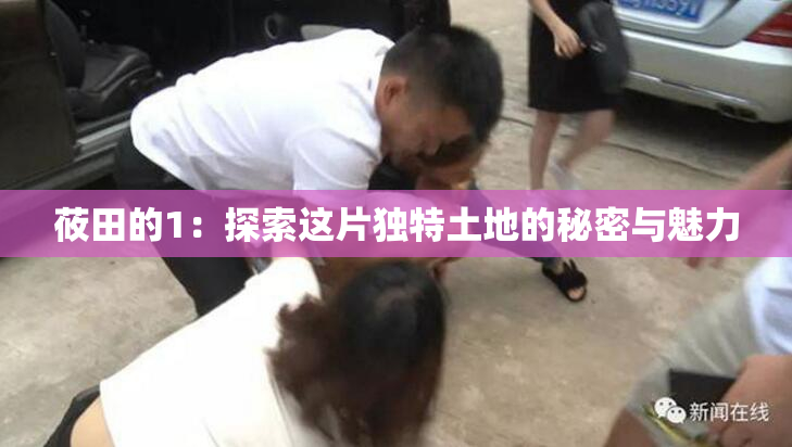 莜田的1：探索这片独特土地的秘密与魅力