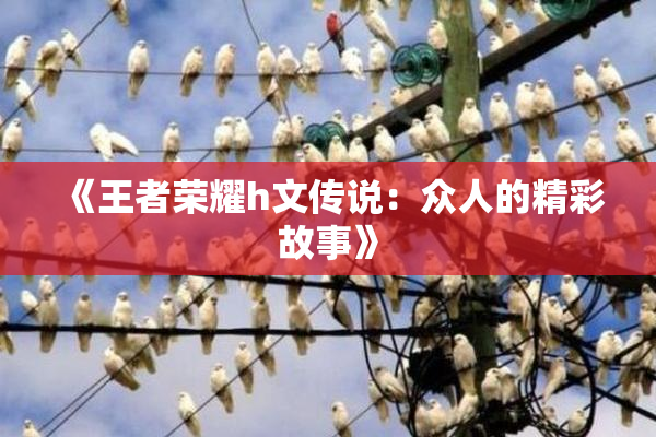 《王者荣耀h文传说：众人的精彩故事》