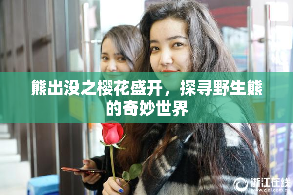 熊出没之樱花盛开，探寻野生熊的奇妙世界