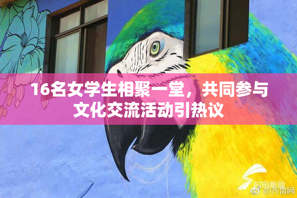16名女学生相聚一堂，共同参与文化交流活动引热议