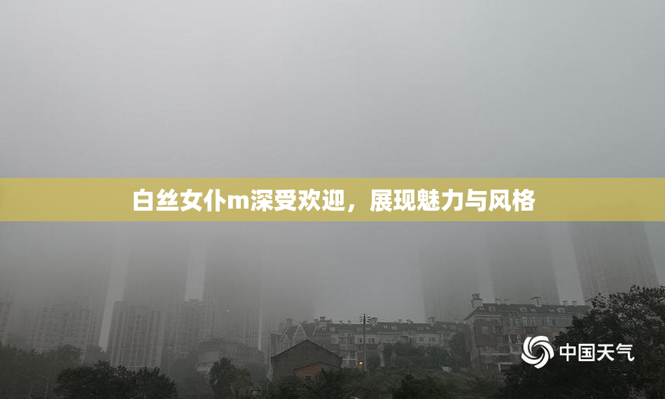 白丝女仆m深受欢迎，展现魅力与风格